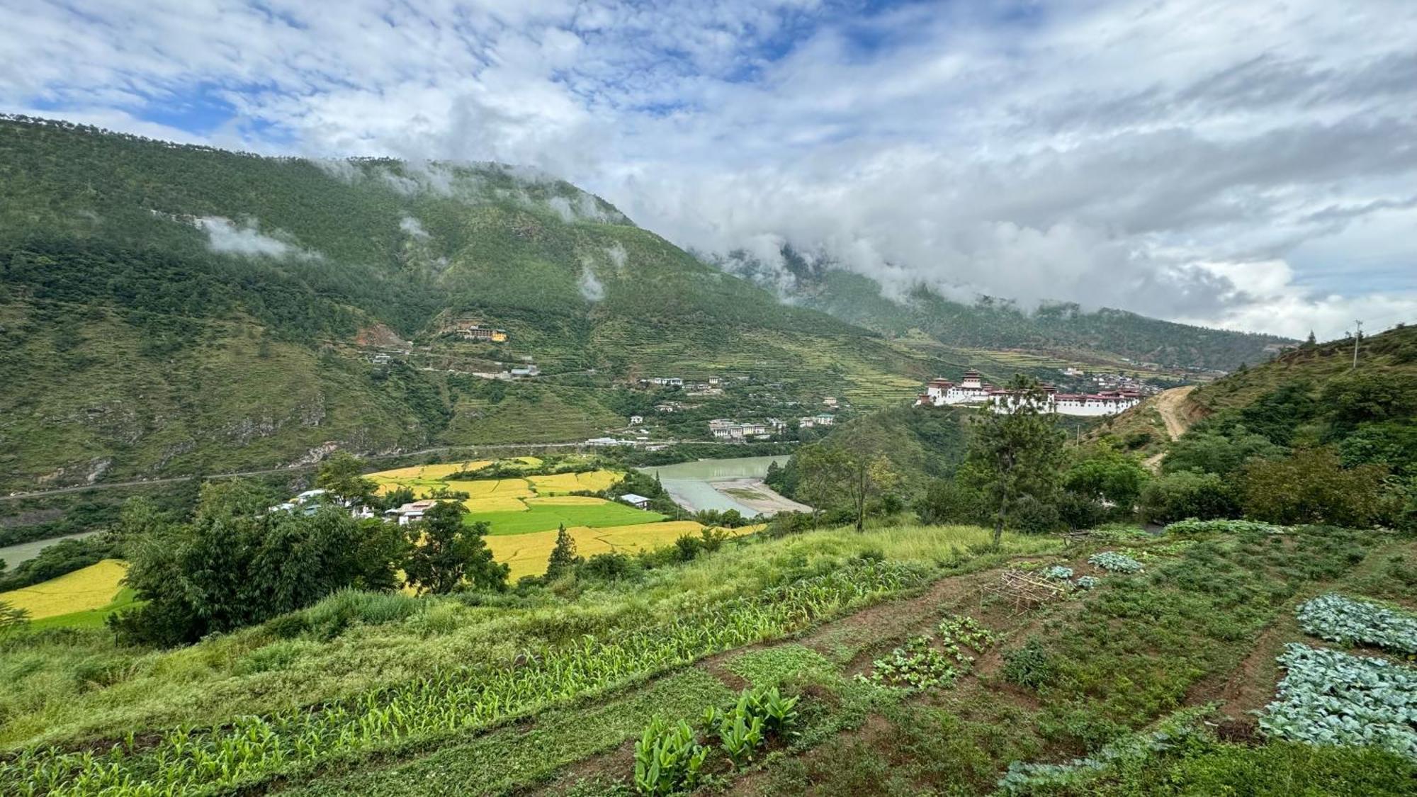 Wangdue Ecolodge Wangdue Phodrang Exterior photo