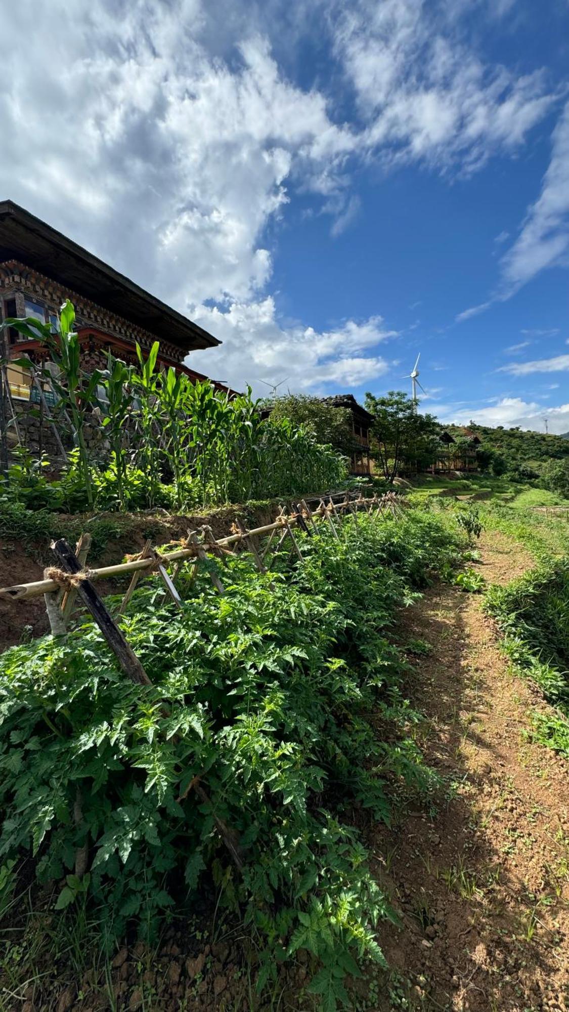 Wangdue Ecolodge Wangdue Phodrang Exterior photo